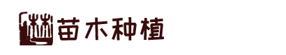 九游会国际站